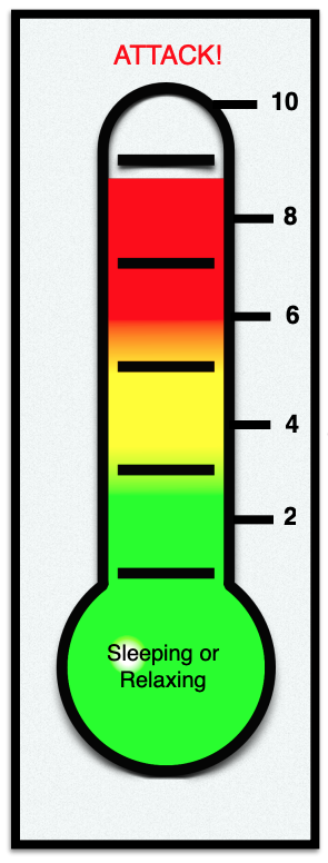 Canine Threshold Thermometer