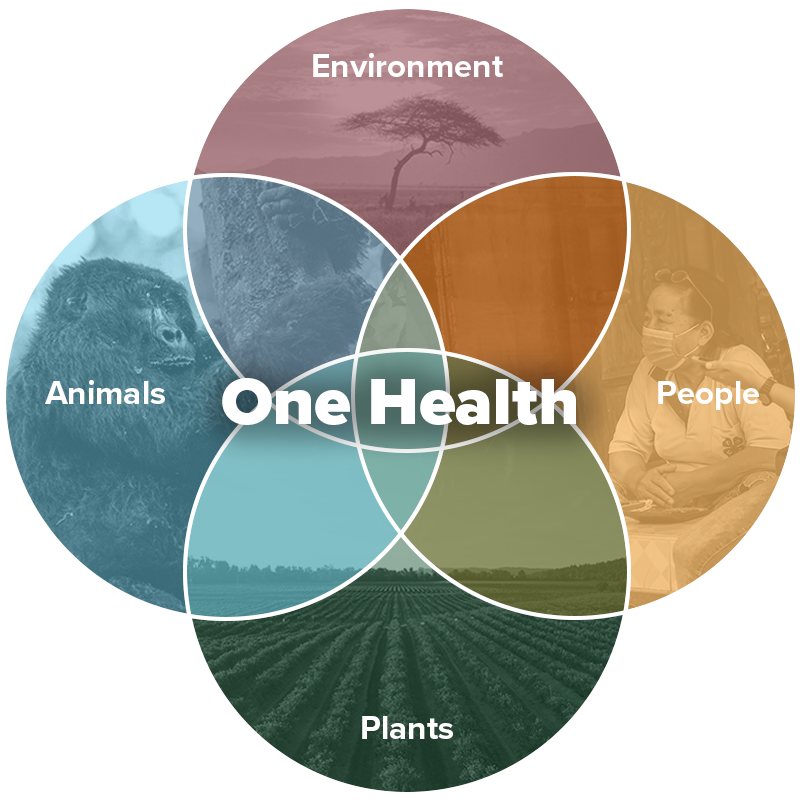One Health Venn Diagram