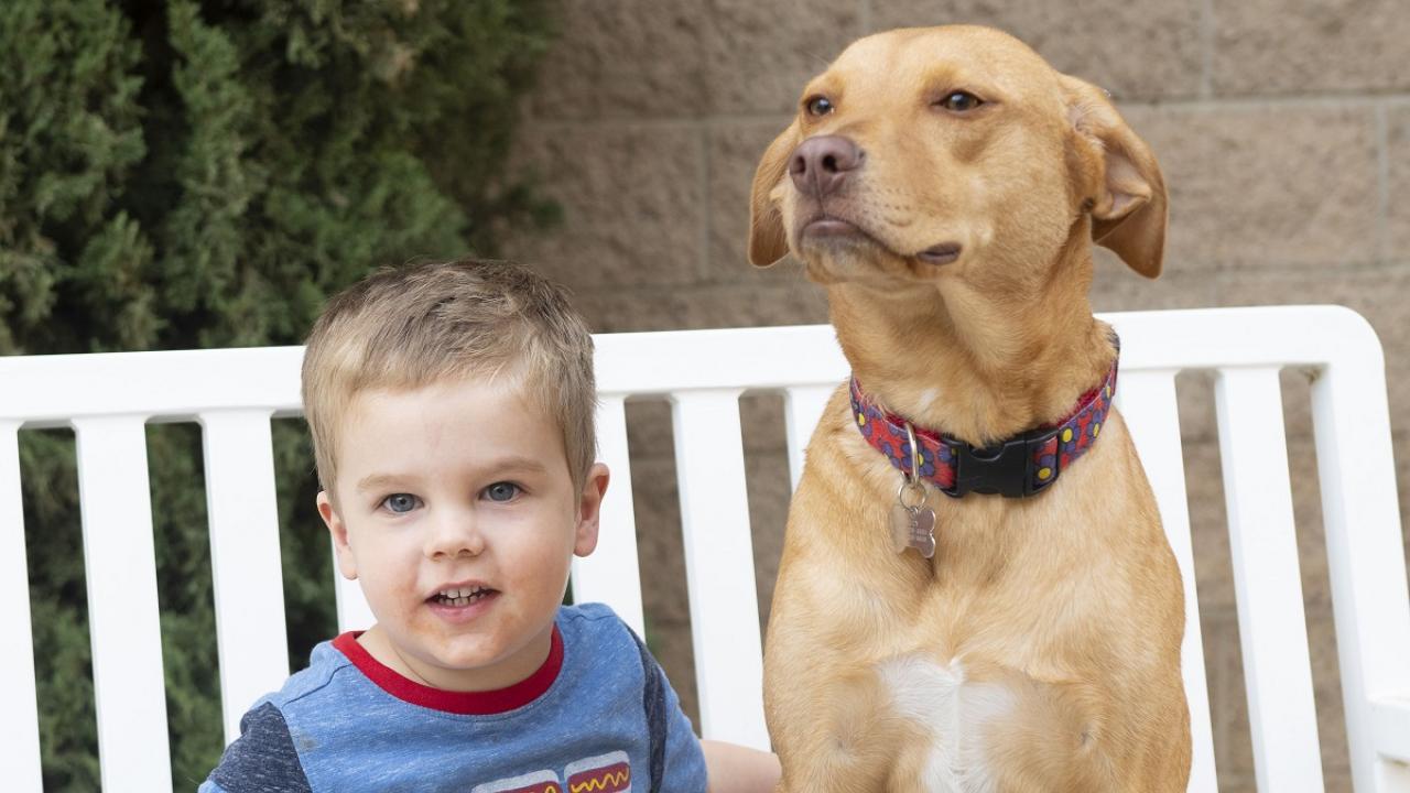 Boy and dog