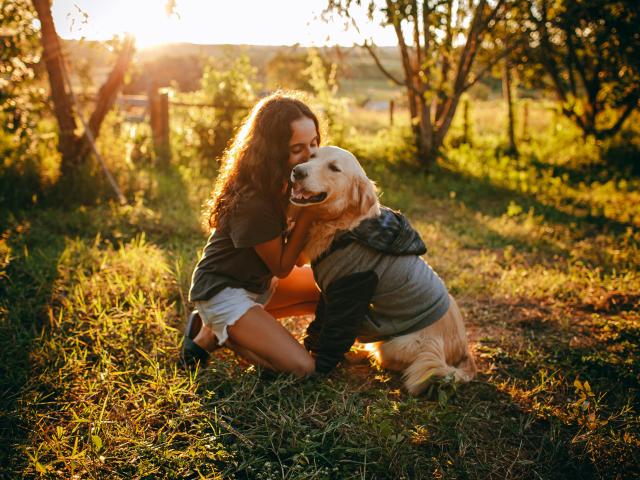 A pet owner hugs a dog while sitting on the grass in sunlit woods.