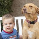 Boy and dog