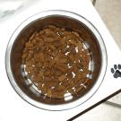 dry dog food in bowl with pawprint